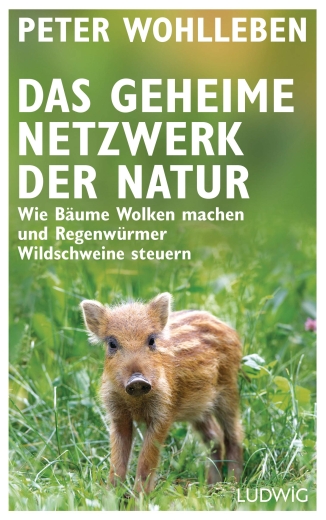 Peter Wohlleben: Das geheime Netzwerk der Natur