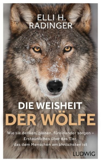 Elli Radinger: Die Weisheit der Wölfe - Taschenbuch